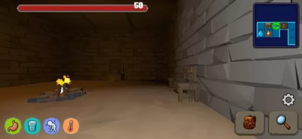 First-person perspective inside a dark dungeon, showing health, hunger and thirst indicators