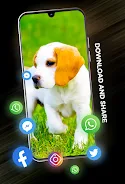 Puppies Wallpapers in 4K ဖန်သားပြင်ဓာတ်ပုံ 3