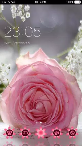 Pretty Pink Rose Theme應用截圖第1張
