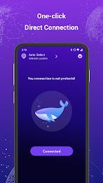 Dolphin VPN-Fast & Stable Tangkapan skrin 2