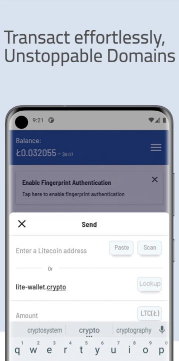 Litewallet Screenshot 2