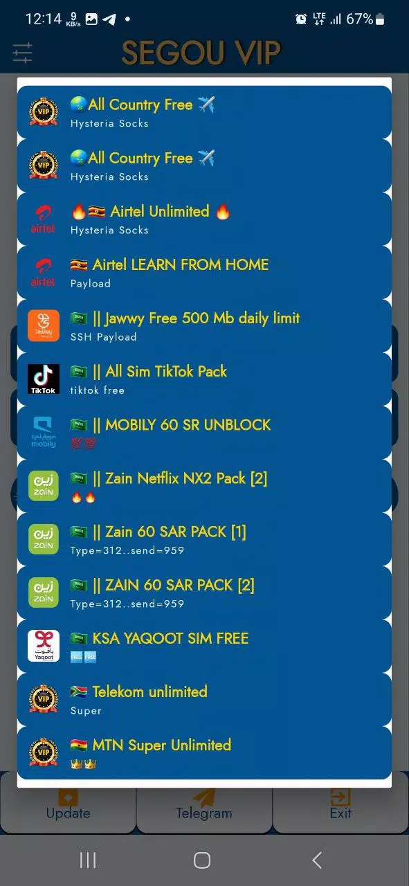 SEGOU VIP VPN Tangkapan skrin 3