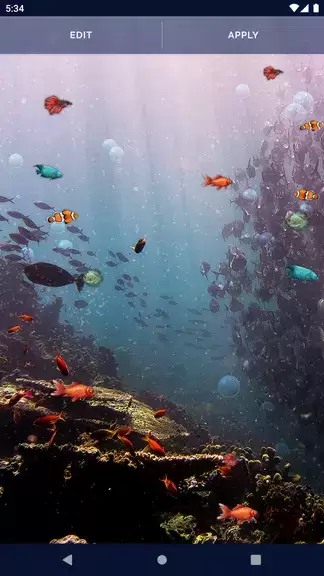 Ocean Fish Live Wallpaper 4K ภาพหน้าจอ 4