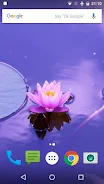 Zen Live Wallpaper Tangkapan skrin 3