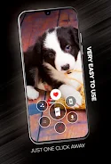 Puppies Wallpapers in 4K Tangkapan skrin 2