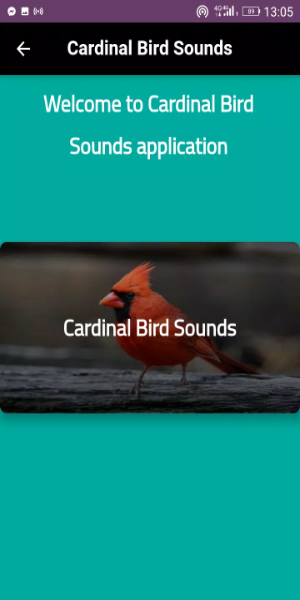 Schermata Cardinal sounds and calls 1