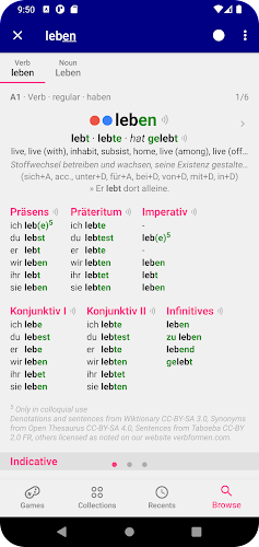 German Dictionary Ekran Görüntüsü 1