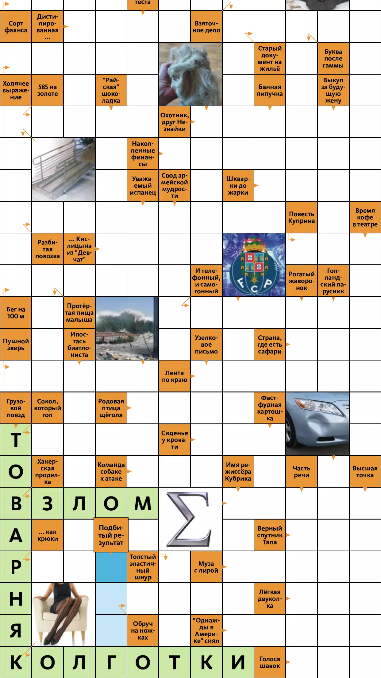 Сканворд.ру журнал應用截圖第1張