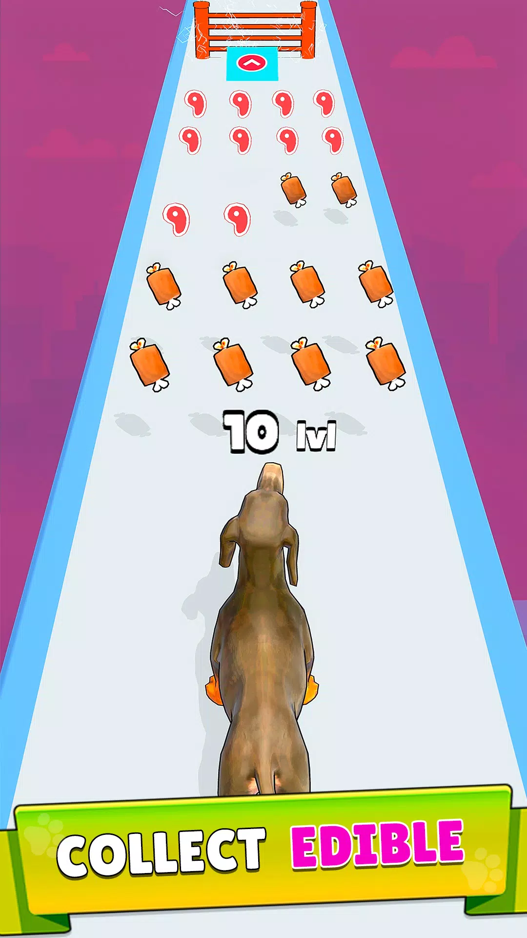 Dog Evolution Run Screenshot 3