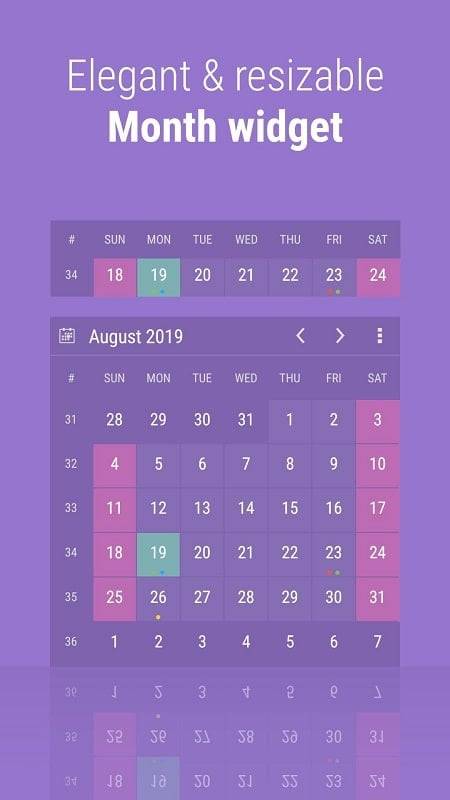 Calendar Widget: Month/Agenda Screenshot 1