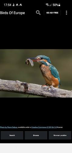 Birds Of Europe Guide Ekran Görüntüsü 1