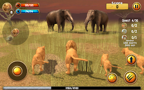 Wild Lion Simulator 3D應用截圖第2張