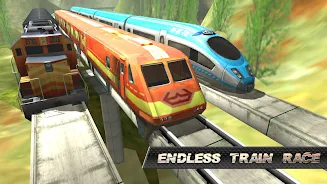 Train Race ภาพหน้าจอ 4