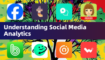 Understanding Social Media Analytics